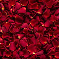 (image for) Rose Petals